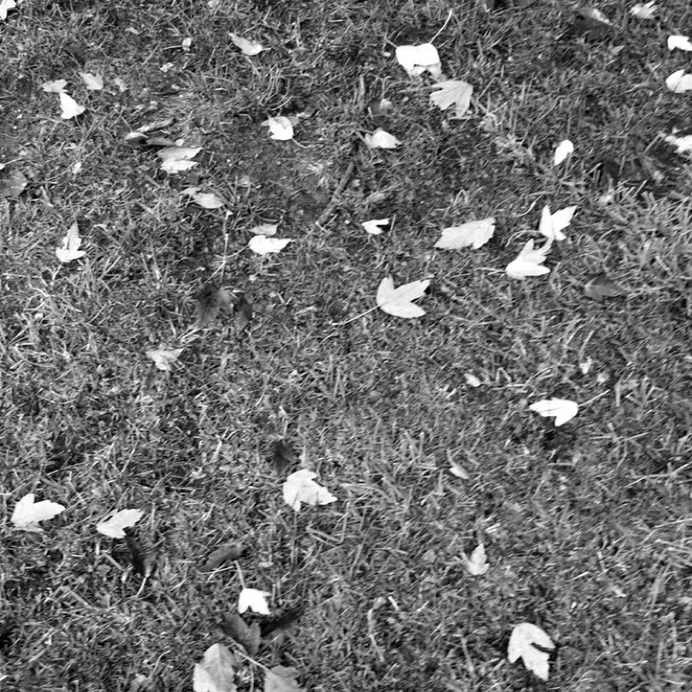 Meet your Posher, Tess